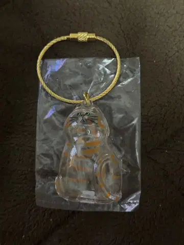 [ 오늘 한정 가격 ] 우리 집 반려동물 털뭉치 ( 브라운 태비 1 )