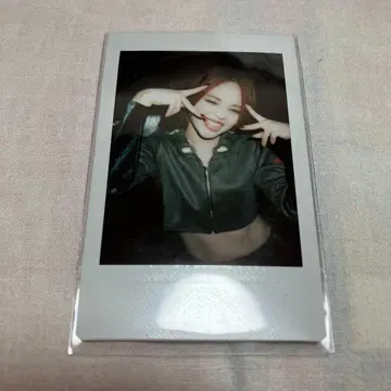 PIGGS SHELLME 폴라로이드