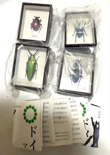 독일 상자 마그넷 컬렉션 야마토 타마무시 오오 센티 코가네 외