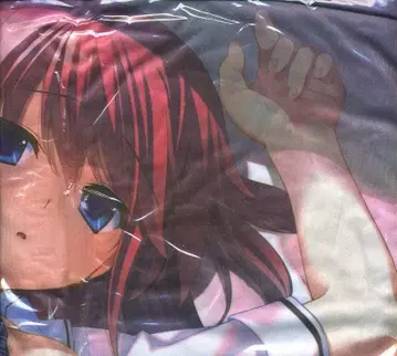 프론트 윙 그리자이아의 낙원 소프맵 특전 스오우 아마네 B2MF 타월