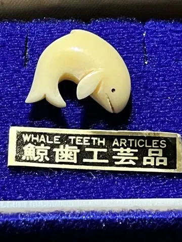 고래 이빨 오비 고정 띠 케이스 포함