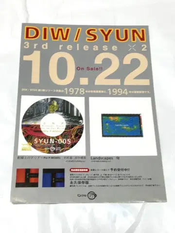 P-MODEL 히라사와 스스무 DIW/SHUN 라벨 플라이어 1장 전단지