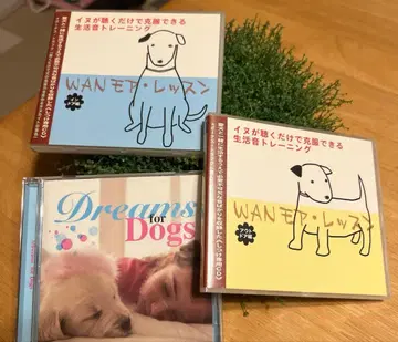 WAN모아 레슨 외 3장 세트 아웃도어편 실내편