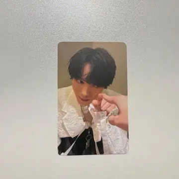 겐지부 코이즈미 미사키 조하큐 토리아이콧토 트레이딩 카드