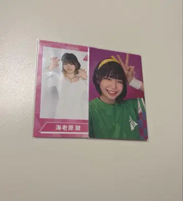 에비하라 북 트레이딩 카드