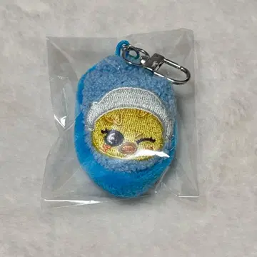 straykids skzoo 슬리퍼 키링 포가리