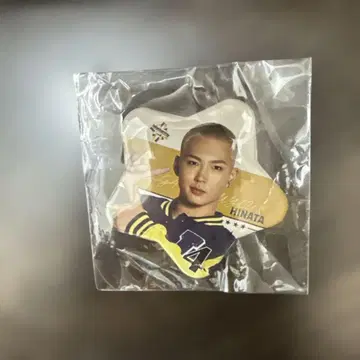 SEGA SAMMYLUX HINATA 별 모양 캔 배지