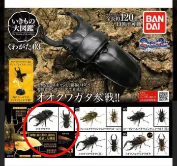 생물대도감 사슴벌레 03 오오쿠와가타 미개봉