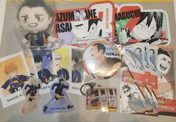 하이큐!! 카라스노 고교 캔뱃지, 스티커, 봉제 인형, 키링 세트