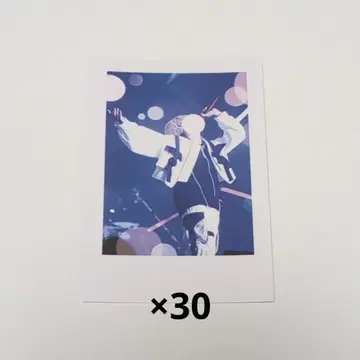 이레이스 리우라 폴라로이드