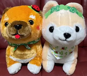 콩 시바 삼형제 해피 클로버 울트라 BIG 봉제 인형 사스케 마메사부로