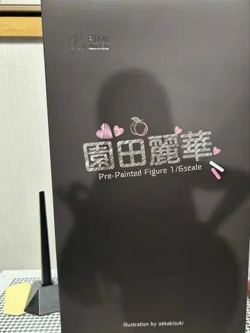 소노다 레이카 특별판