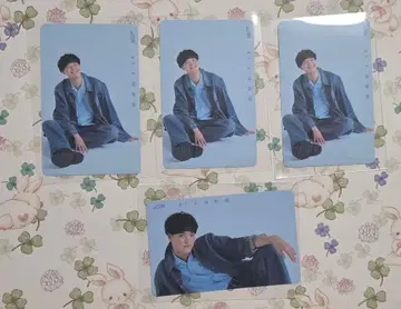 SING SHOW DOWN 카이조 료타 전화 카드풍 카드 4장 세트