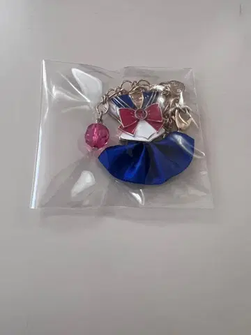 세일러문 코스튬 백참