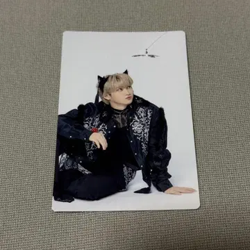 NINE LIVES 초특급 유키 트레이딩 카드