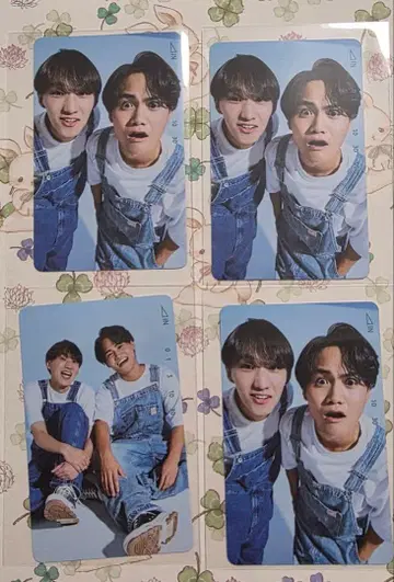 SING SHOW DOWN 이부키 토요헤 전화카드풍 카드 4장 세트