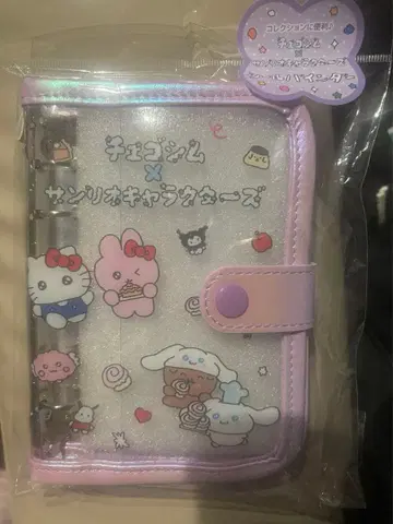 체고심 x 산리오 캐릭터즈 씰 바인더