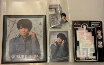 액터즈 리그 아크리 아크타리 브레인 복권 우에다 케이스케