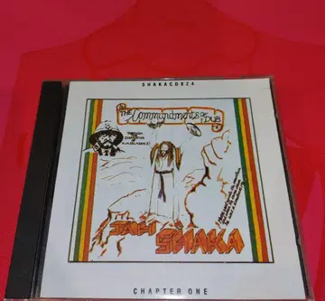 JAH SHAKA COMMANDMENTS OF DUB