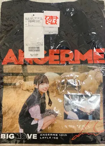 안쥬르므 이세 스즈란 T셔츠 빔즈