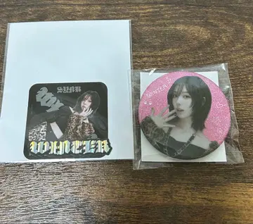 aespa 랜덤토이 윈터 캔뱃지 스티커