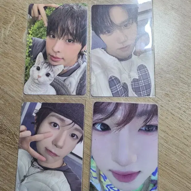 NCT wish 컬러 포카 4종 + 쥬얼 개봉앨범 (시온, 유우시 택 1