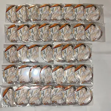 하이큐 점페스 컬렉션 캔뱃지 엔노시타 치카라