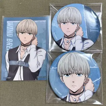 윈드브레이커 카지 렌