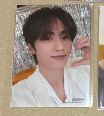 레미노 페스티벌 쉬쉬펑판 브로마이드