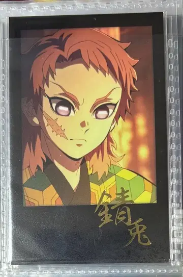 귀멸의 칼날 다이닝 오타노시미 복권 폴라로이드풍 브로마이드 사비토