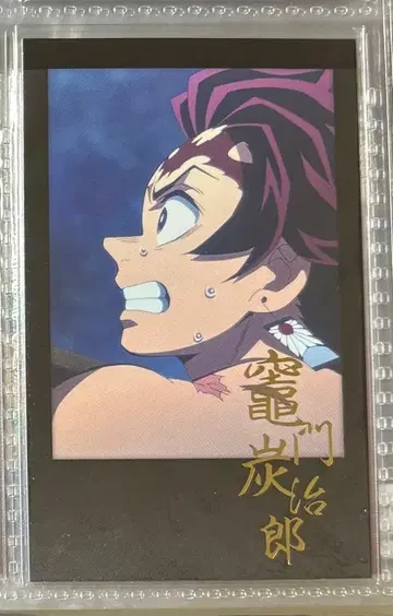 귀멸의 칼날 다이닝 오타노시미 복권 폴라로이드풍 브로마이드 카마도 탄지로