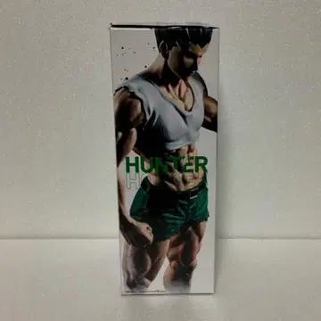 HUNTER x HUNTER 피그라이프
