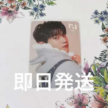 기무라 마사야 선출점 특전 트레이딩 카드