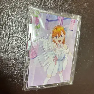 244 시부야 카논