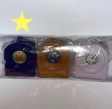 레이스 팬퍼레이 G1 다카라즈카 기념 J G1 장애 일반 교토 한신 3개