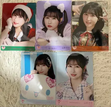 야마모토 안나 브로마이드 5컴프 + 24장 묶음 판매