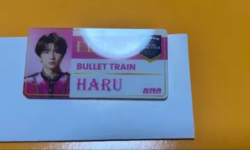 EBiDAN THE LIVE 2025 네임 배지 에비라이 초특급 하루