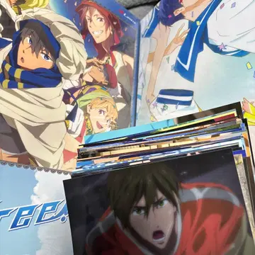 Free! 클리어 파일 브로마이드 팜플렛 굿즈 세트