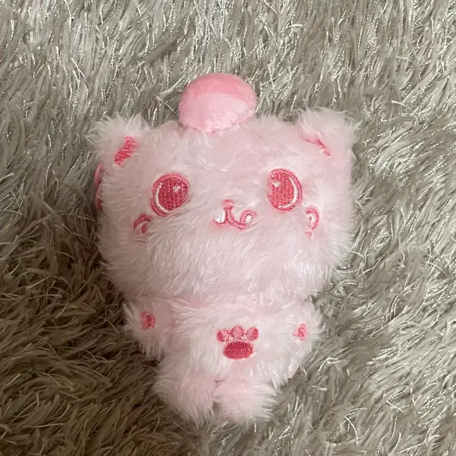 NCT | 엔시티 Nct Wish random color wish doll riku kuri pop up md