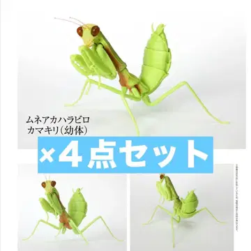 [새상품] 생물대도감 사마귀04 사마귀 가챠