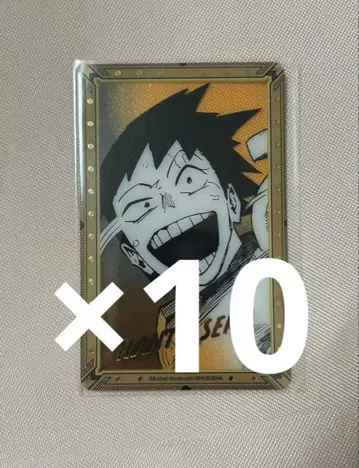 히로아카 전시회 원화전 금박 클리어 카드 세로 한타 10장