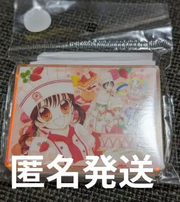 70th 리본전 꿈빛 파티시에