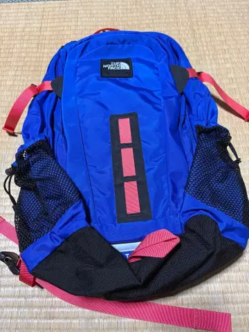 THE NORTH FACE HOTSHOT 백팩 블루