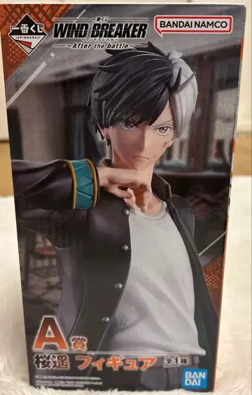 WIND BREAKER A상 사쿠라 하루카