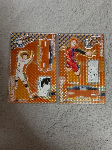 하이큐!! 히나타 쇼요 카게야마 토비오 아크릴 스탠드 세트