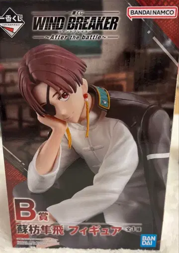 WIND BREAKER B상 소방준비