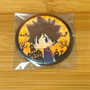 괴물 조련사 츠나 사와다 츠나요시 캔뱃지 REBORN