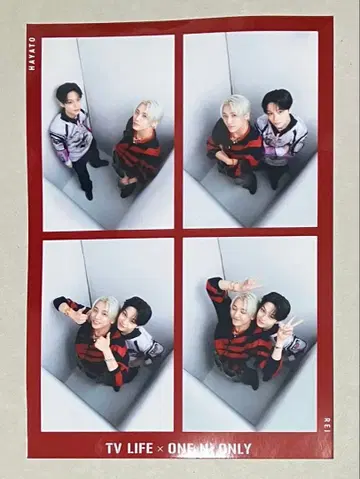 ONE N' ONLY TVLIFE 아마조니아 카드 REI HAYATO