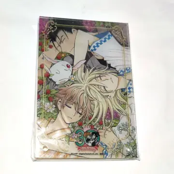 CLAMP 화업 30주년 날개 아크릴 섀도우 박스