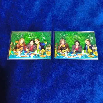 Mrs.GREEN APPLE 포토 카드 ( 2장 세트 )